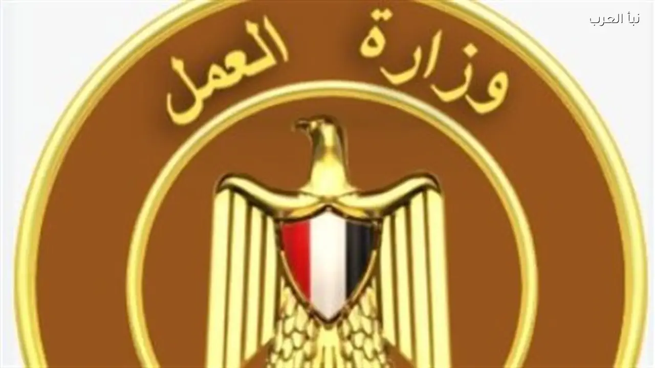 وزارة العمل تعلن عن فرص عمل جديدة للمؤهلات العليا والمتوسطة في مارس 2026