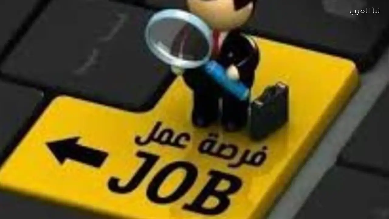 وزارة العمل تقدم 500 فرصة عمل جديدة برواتب تنافسية لمواجهة البطالة