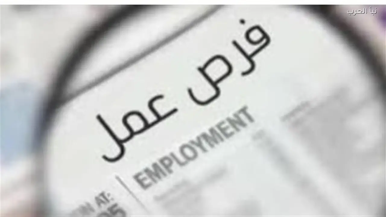 وزارة العمل تكشف تفاصيل رواتب وظائف السلاسل التجارية ومزاياها