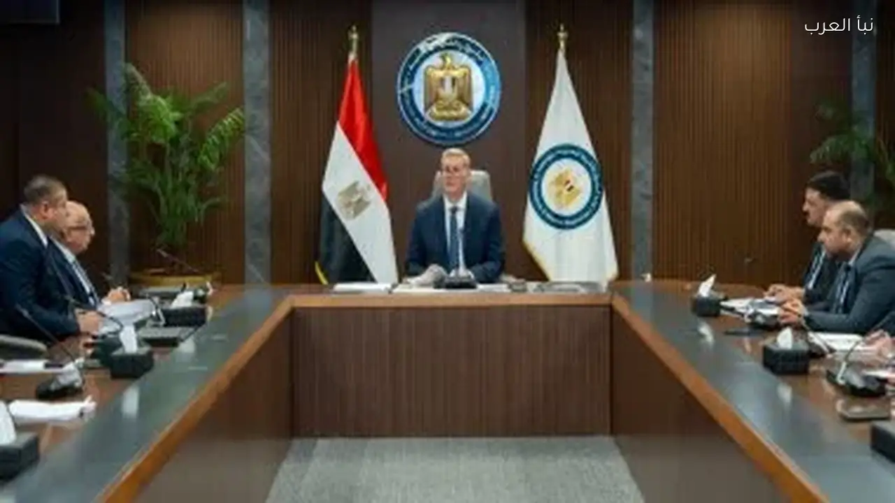 وزير البترول يبدأ تنفيذ المسح الجوي الشامل للمعادن في مصر هذا العام